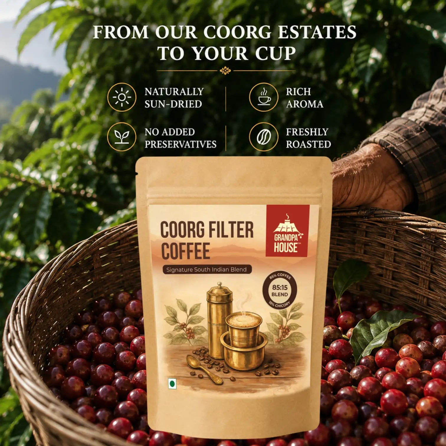 Coorg Filter Coffee Powder | Signature Blend (85:15)