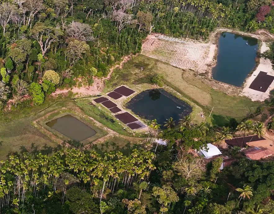 Coorg coffee estate of Grandpa House showing plantation, water reservoirs and traditional coffee processing areas in Karnataka India