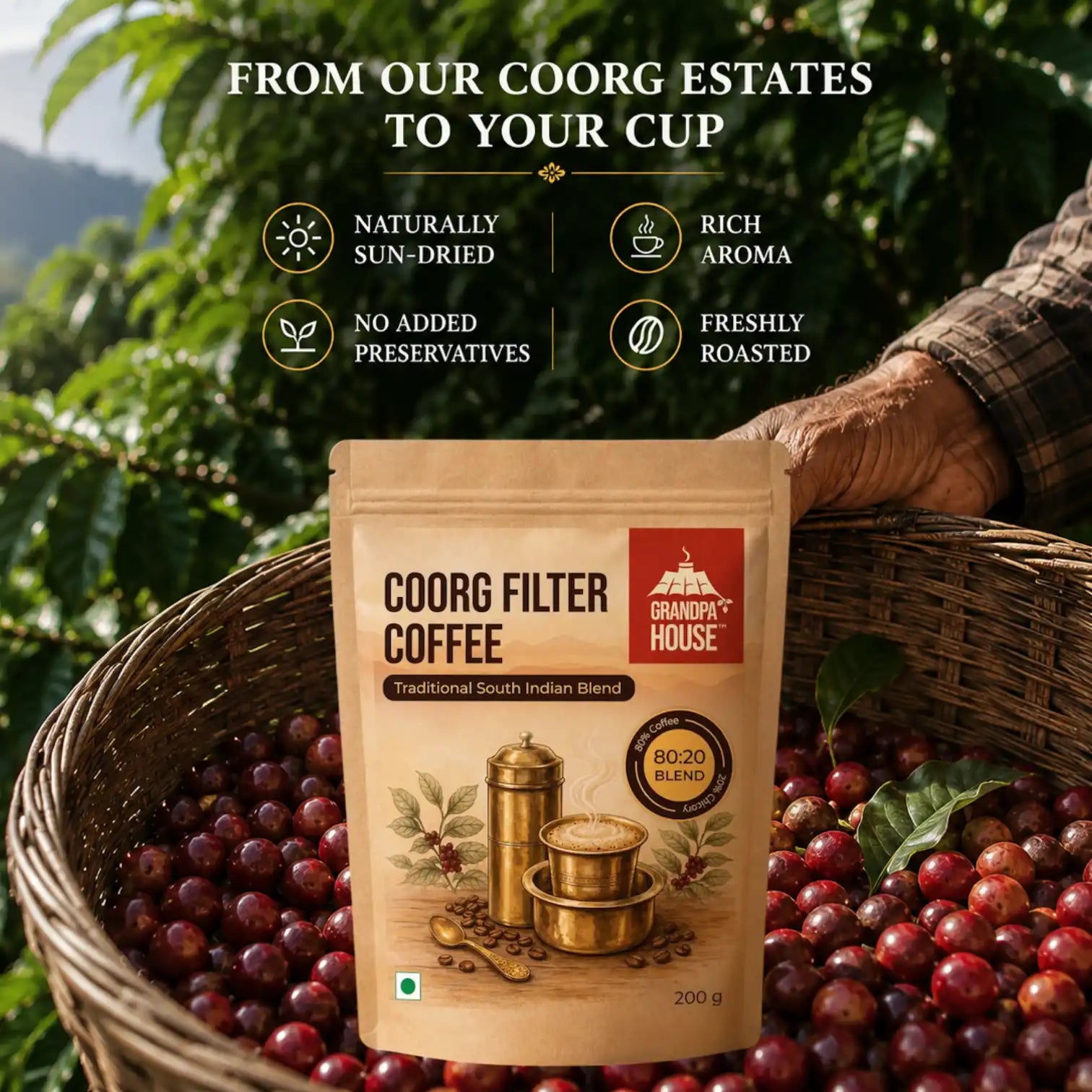 Grandpa House Coorg filter coffee sourced from our Coorg estates with fresh coffee cherries